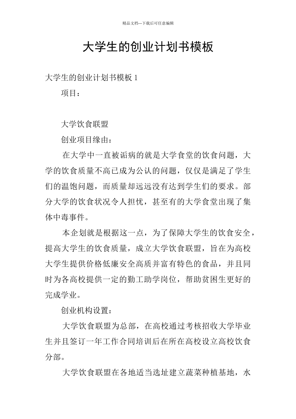 大学生的创业计划书模板_第1页
