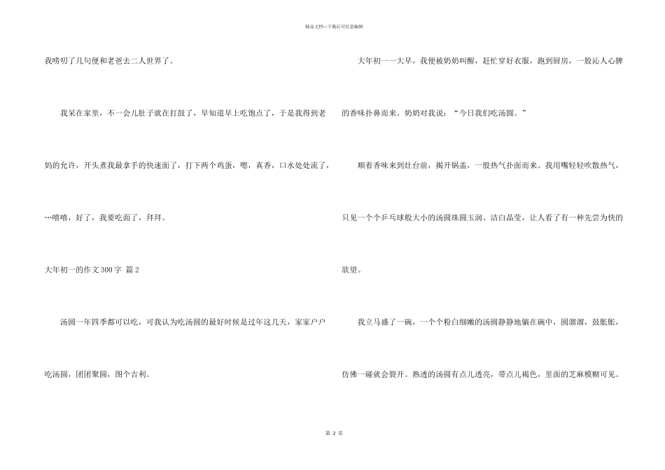 大年初一300字汇总9篇_第2页