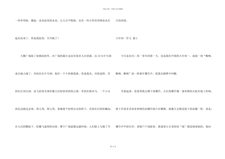 大年初一八篇_第2页
