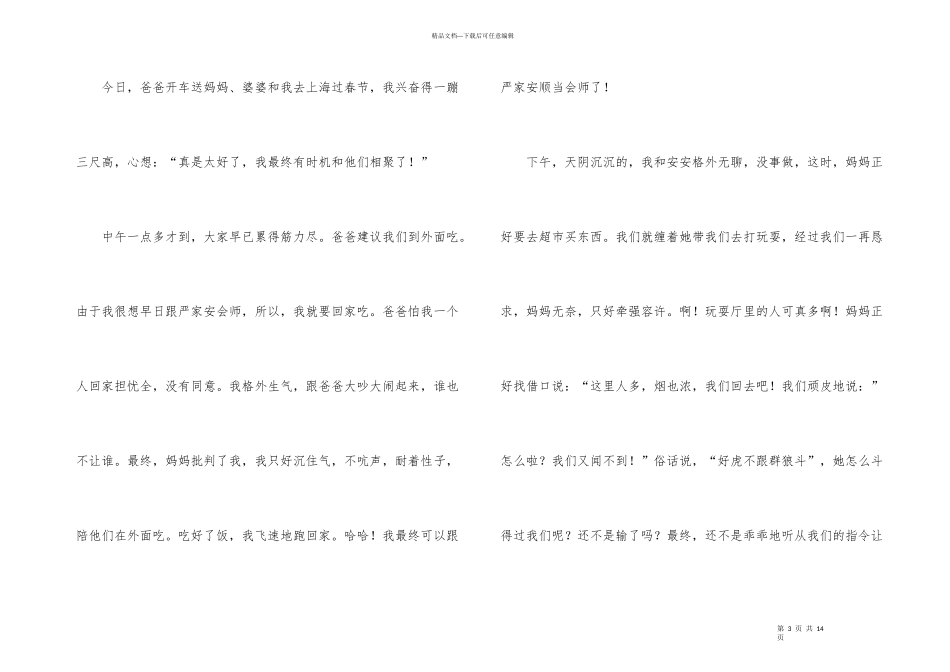 大年初一周记_第3页