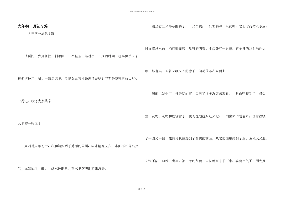 大年初一周记9篇_第1页