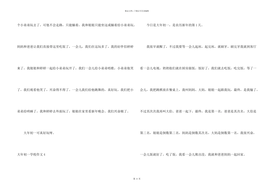 大年初一小学_第3页