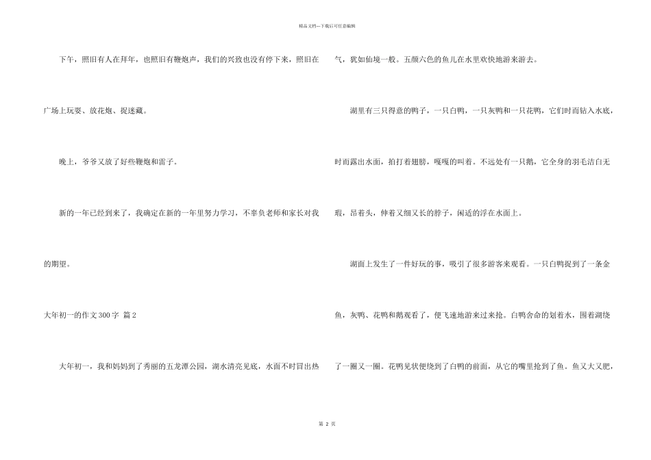 大年初一的300字六篇_第2页