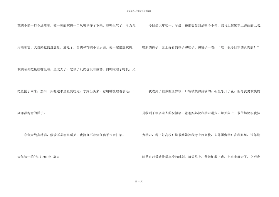 大年初一的300字六篇_第3页