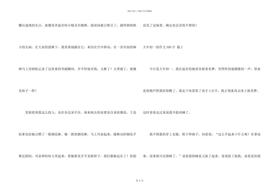 大年初一的300字锦集8篇_第2页