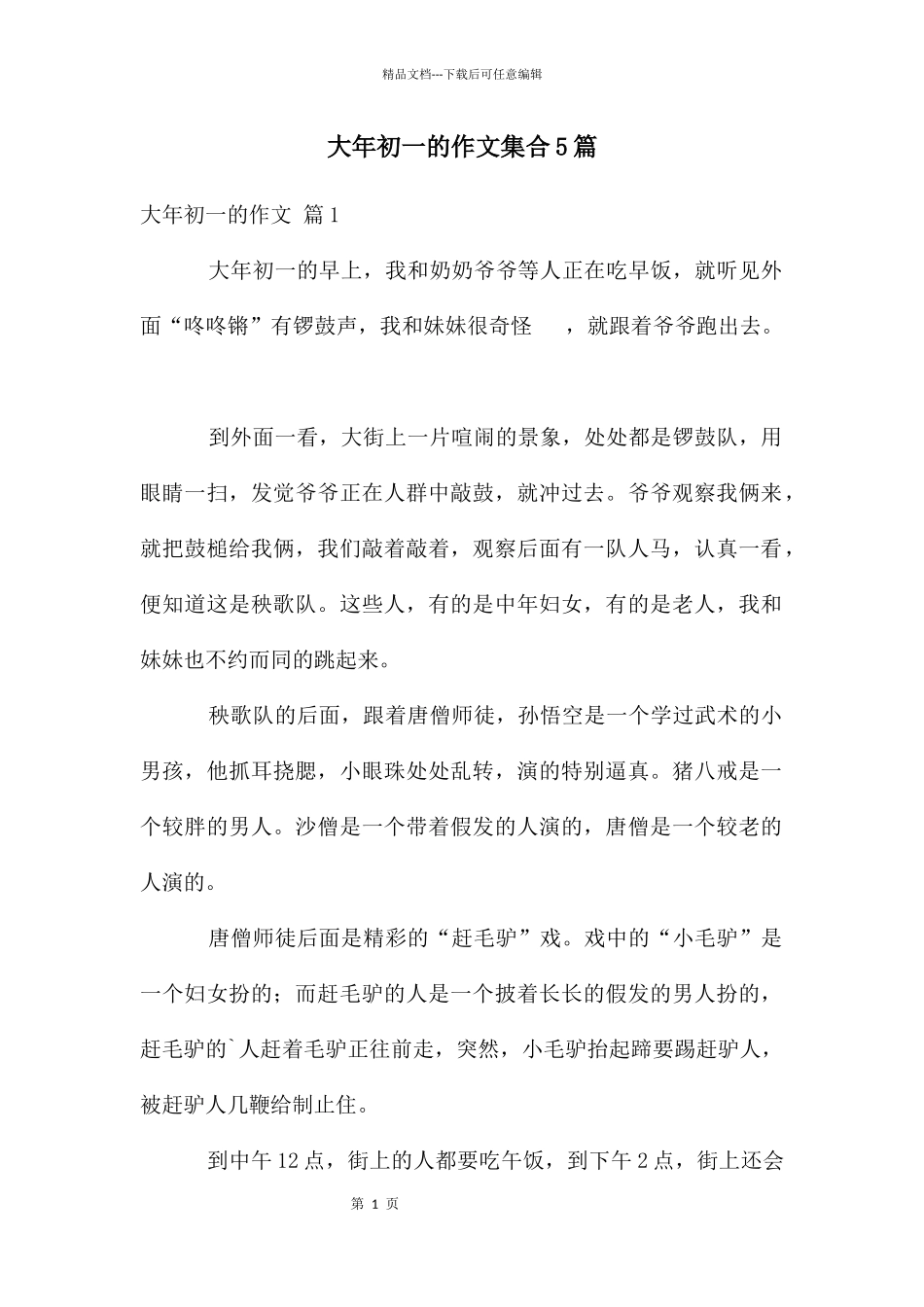 大年初一的作文集合5篇_第1页