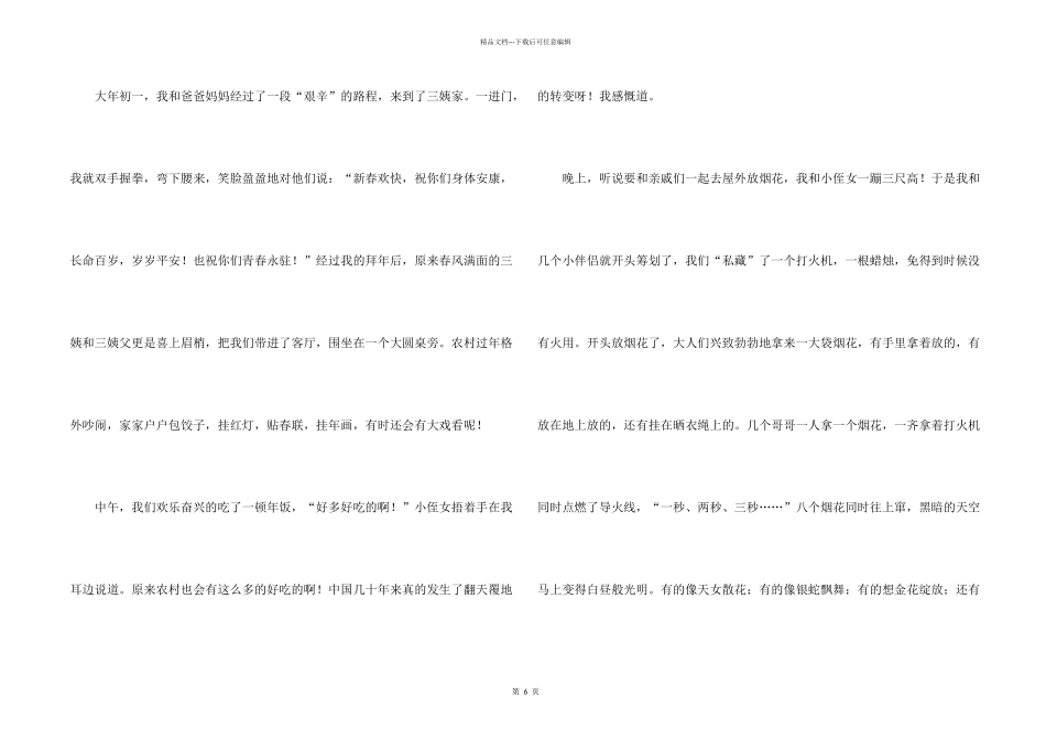 大年初一的集锦6篇_第2页