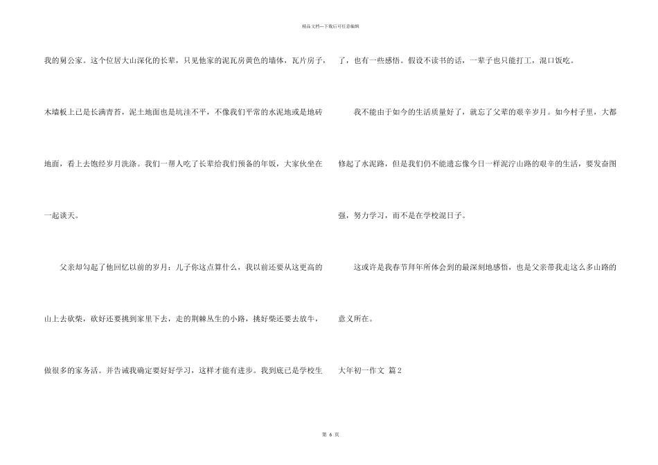 大年初一集合八篇_第2页