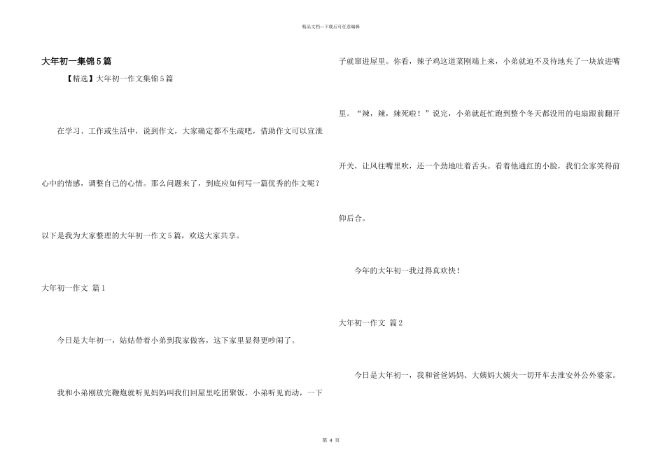 大年初一集锦5篇_第1页