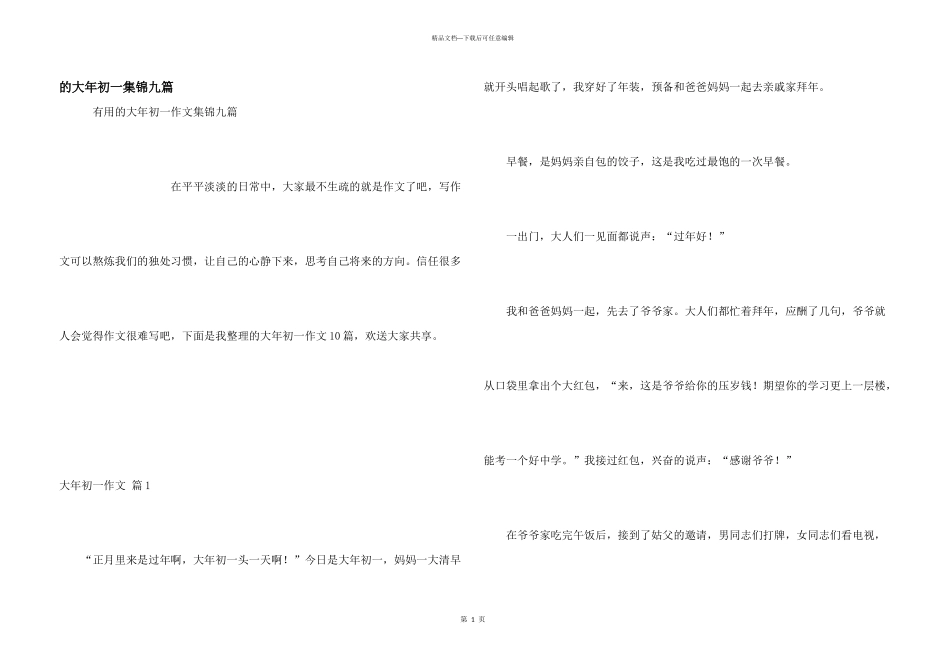 大年初一集锦九篇_第1页