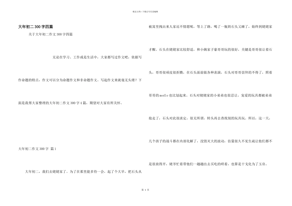 大年初二300字四篇_第1页