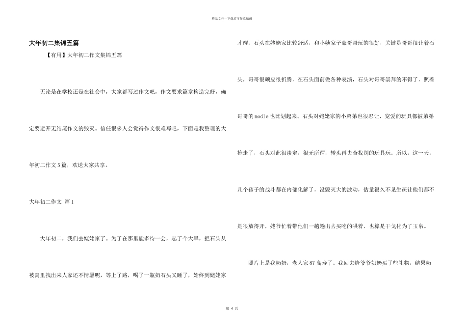 大年初二集锦五篇_第1页