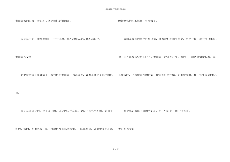 太阳花(集锦15篇)_第2页
