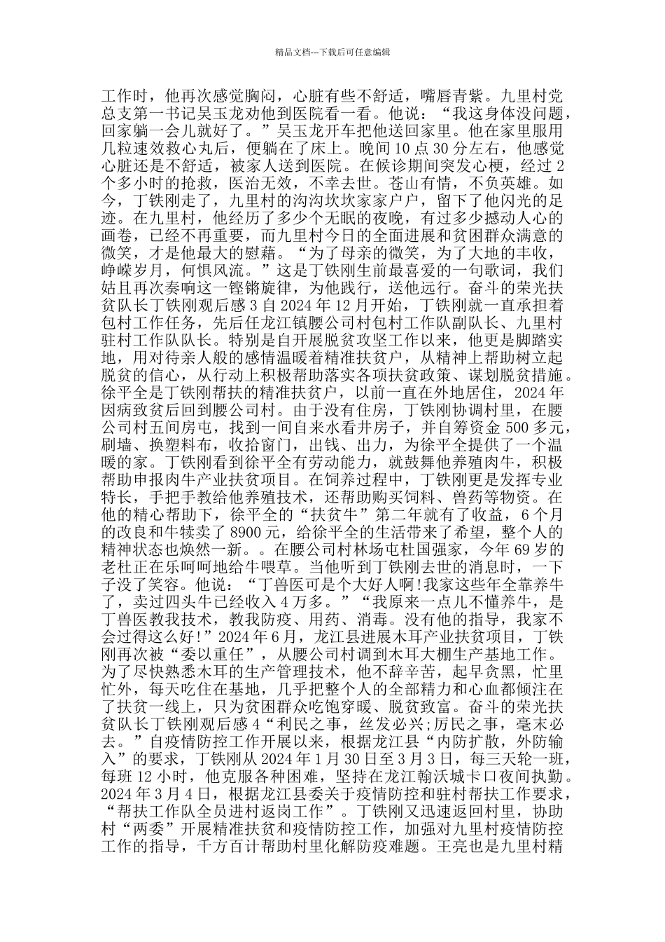 奋斗的荣光扶贫队长丁铁刚观后感5篇_第2页