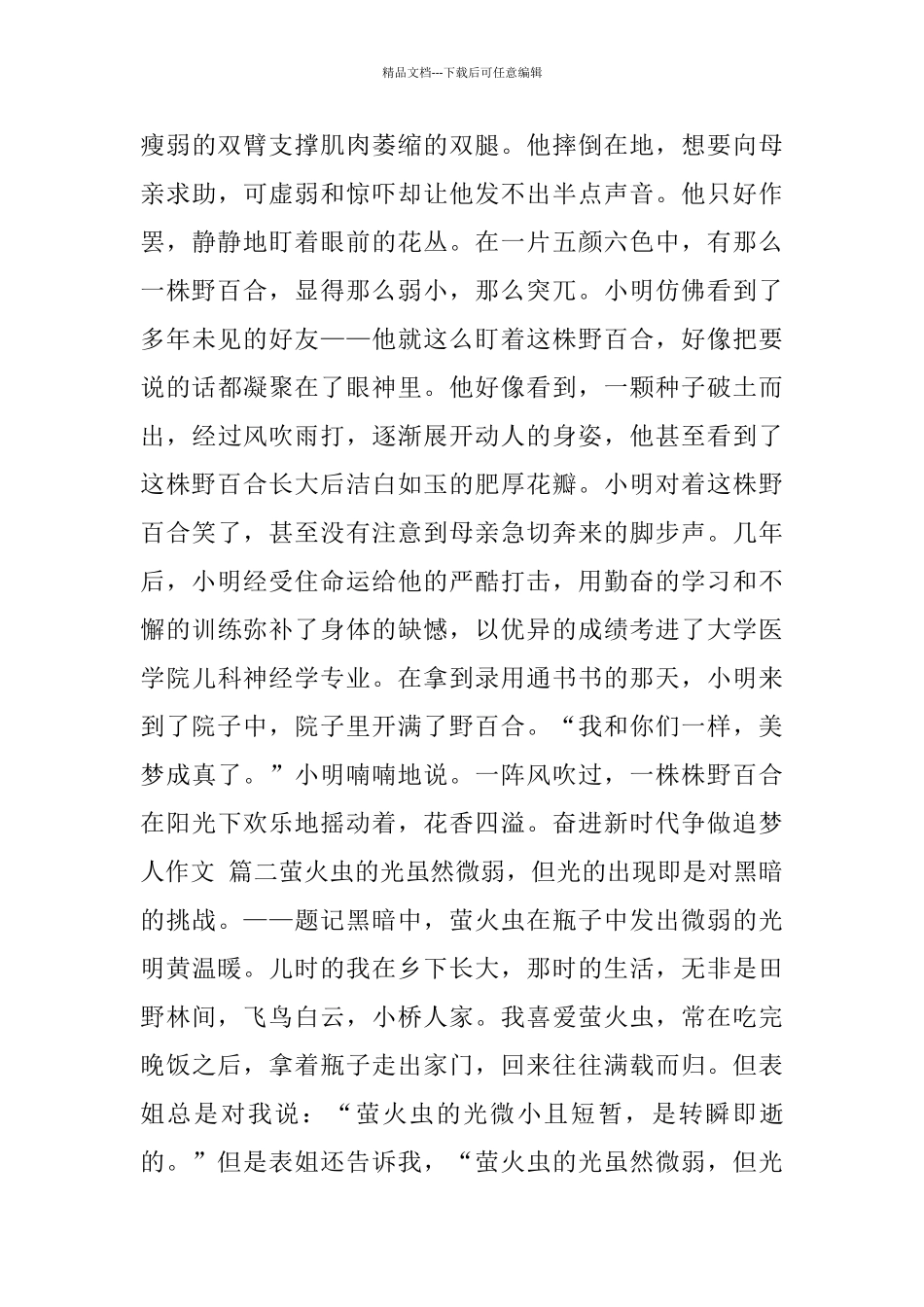 奋进新时代争做追梦人作文_第2页