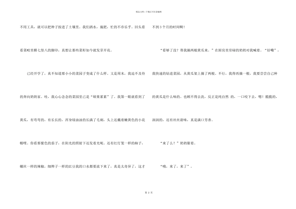 奶奶的菜园500字_第2页