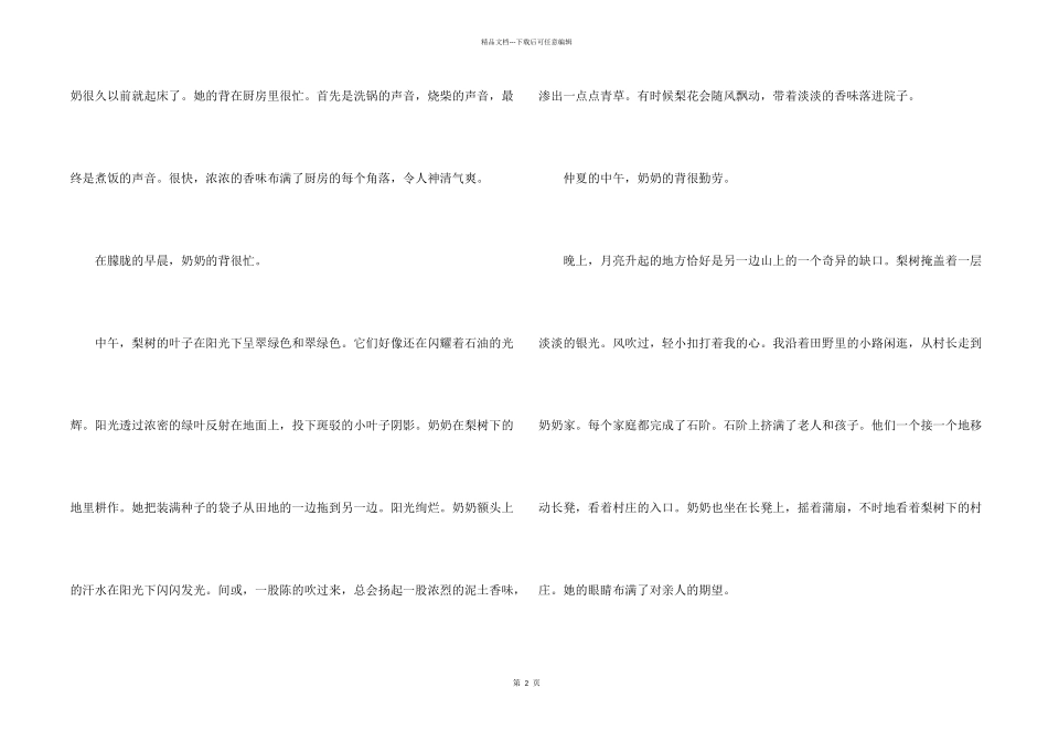 奶奶的背影15篇_第2页