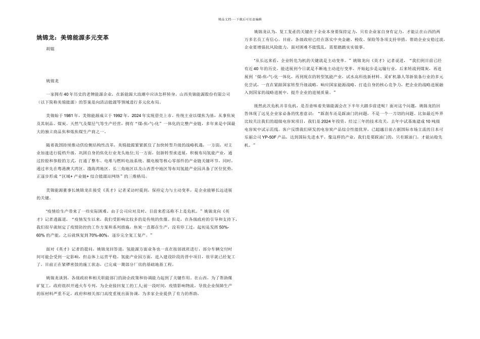 姚锦龙：美锦能源多元变革_第1页