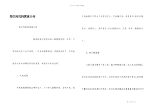 婚庆用花的寓意介绍