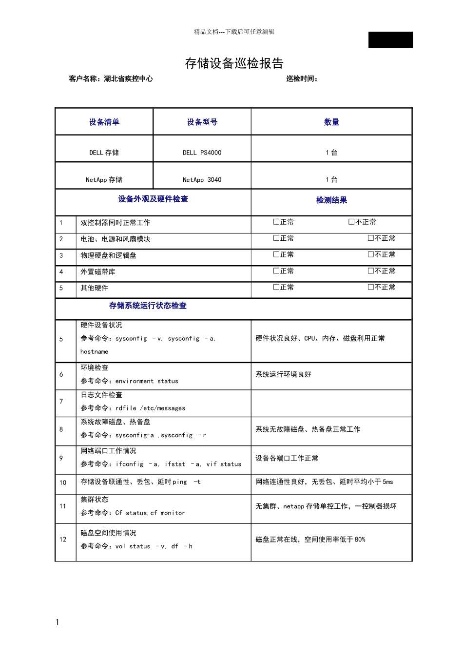 存储设备巡检报告_第1页