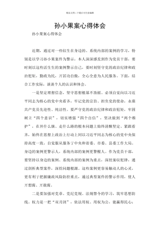 孙小果案心得体会