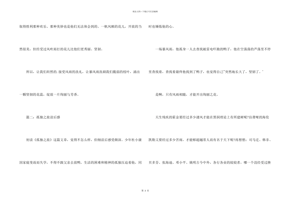 孤独之旅读后感_第2页