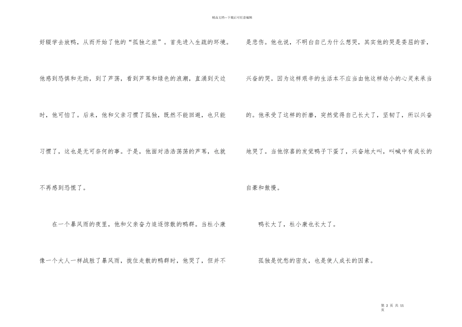 孤独之旅读后感600字_第2页