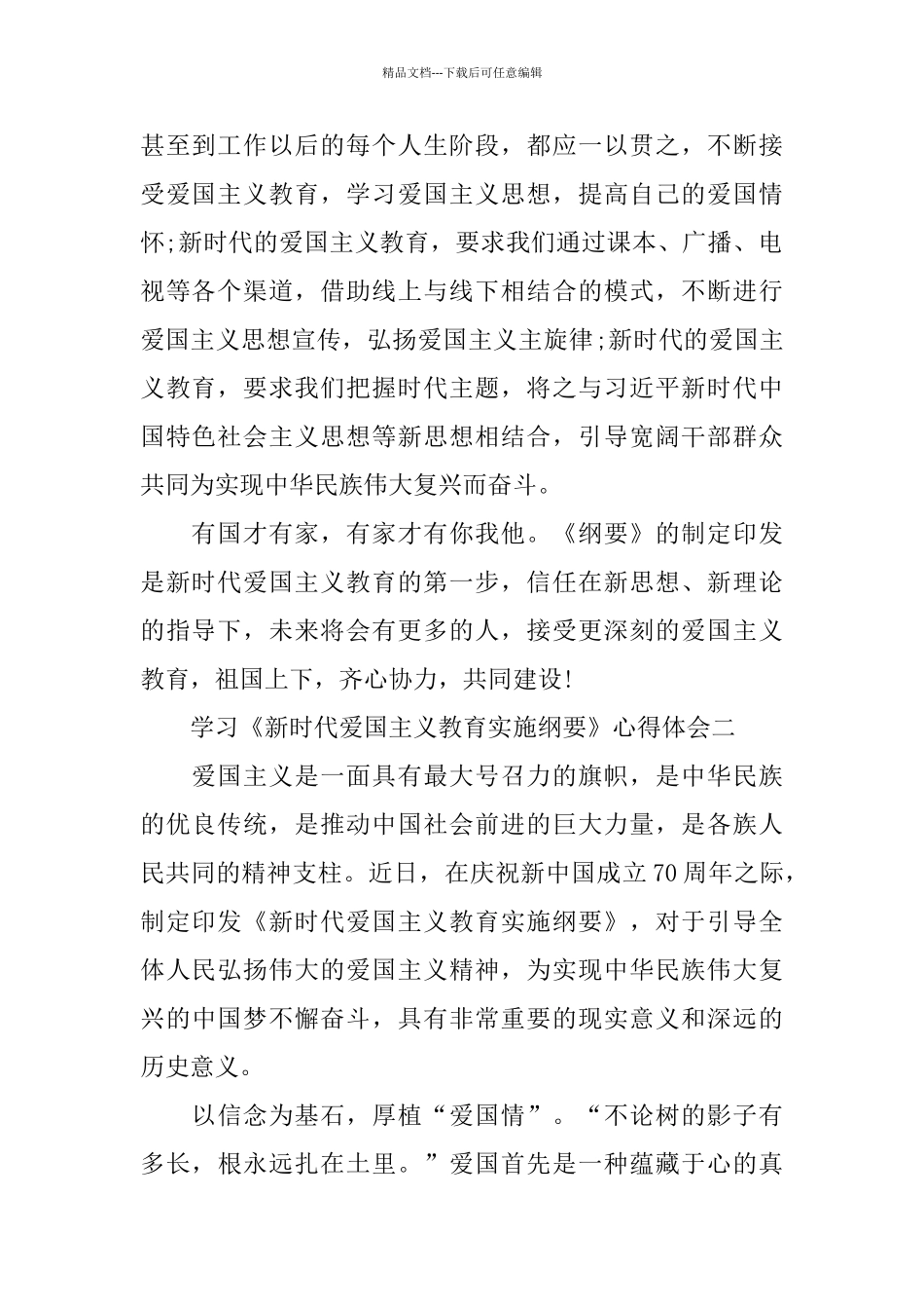 学习《新时代爱国主义教育实施纲要》心得体会10篇_第2页