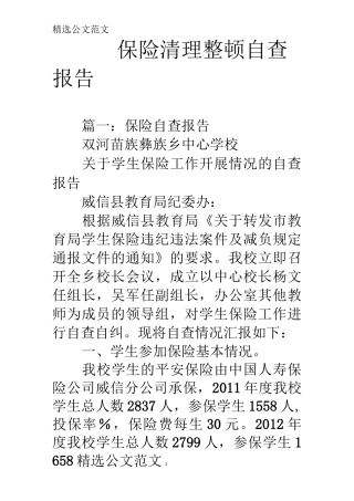 保险清理整顿自查报告