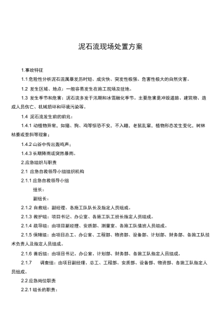 泥石流现场处置方案