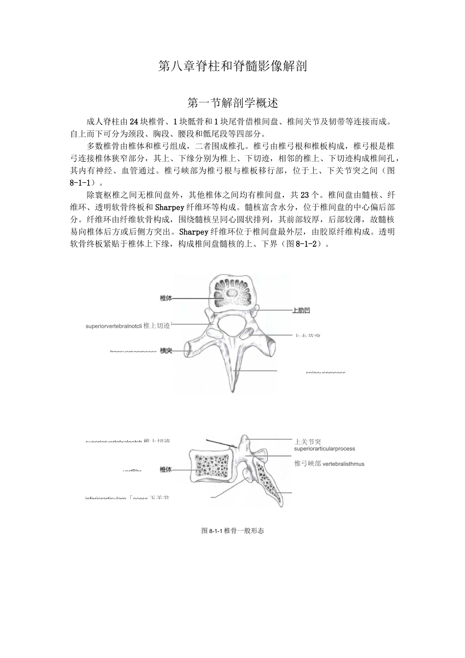 (完整版)脊柱和脊髓影像解剖_第1页