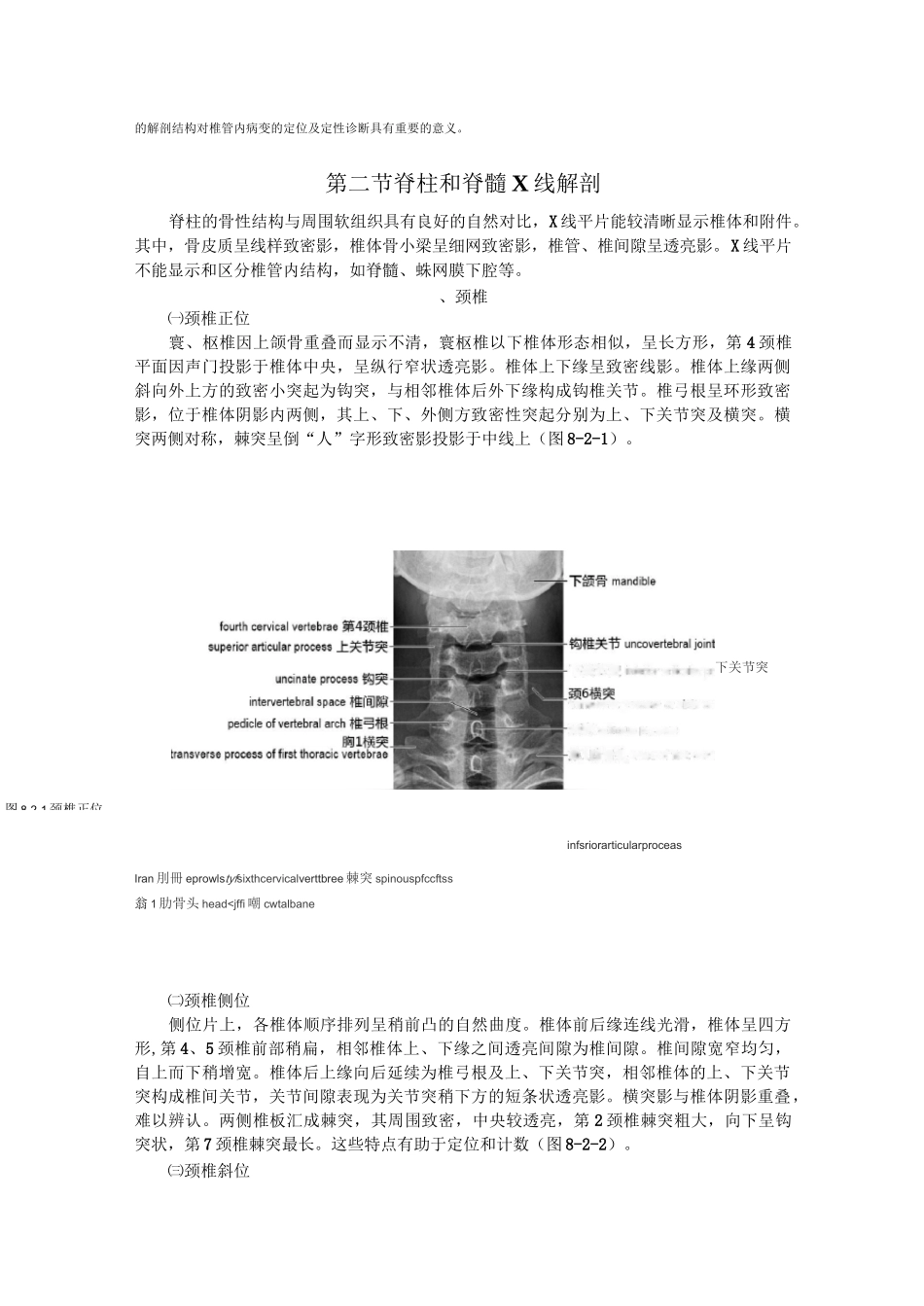 (完整版)脊柱和脊髓影像解剖_第3页
