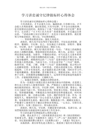 学习讲忠诚守纪律做标杆心得体会