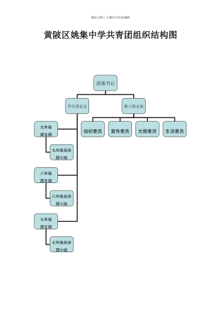 学校共青团组织结构图