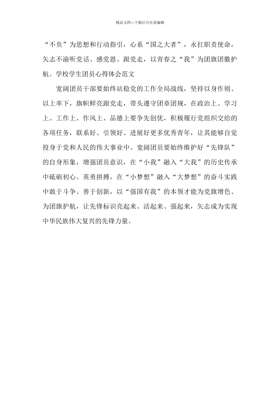 学校学生团员心得体会范文_第2页