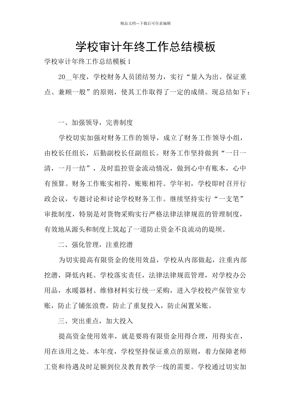 学校审计年终工作总结模板_第1页
