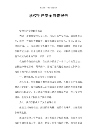 学校生产安全自查报告