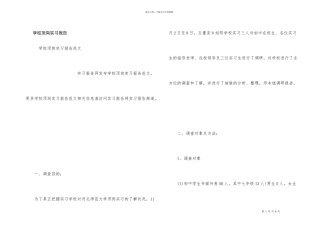 学校顶岗实习报告