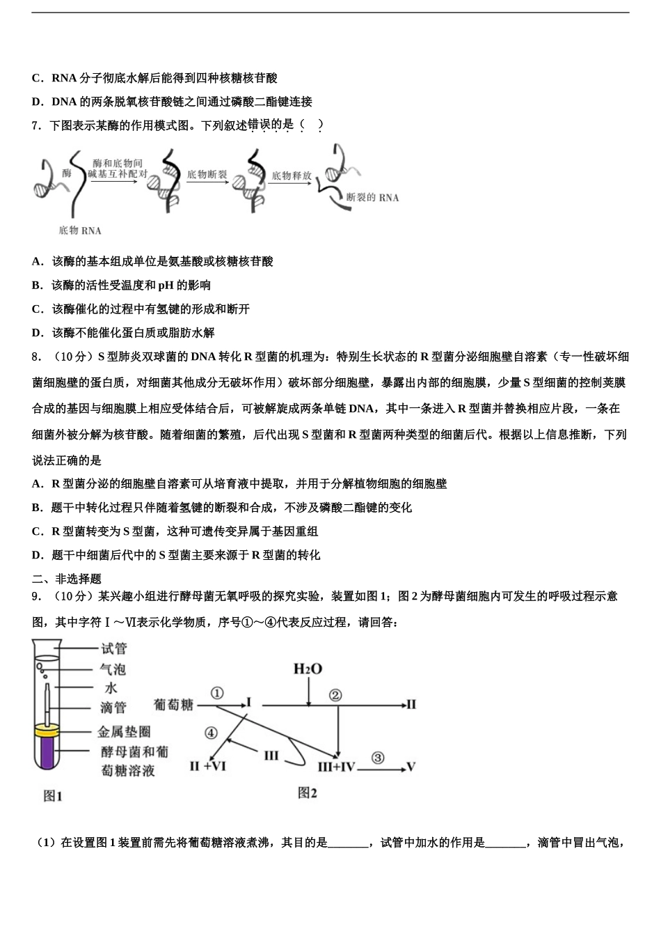 宁夏银川市普通高中学高三适应性调研考试生物试题含解析_第2页