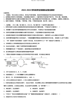 宁波市第七中学高考适应性考试生物试卷含解析