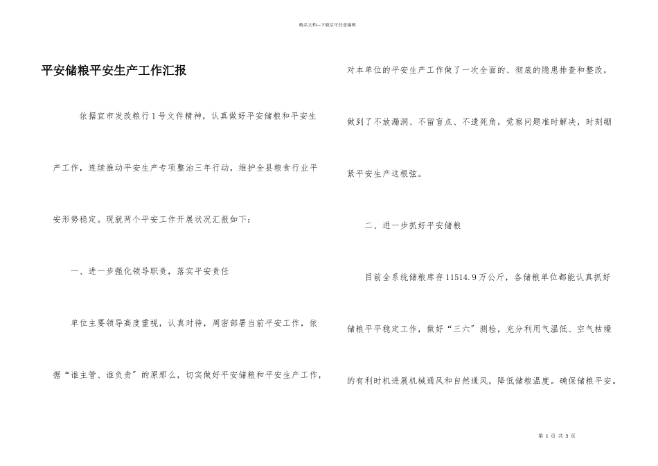 安全储粮安全生产工作汇报_第1页