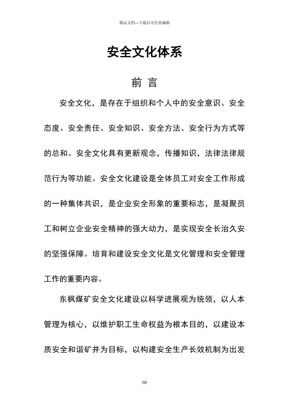 安全文化体系文件_第1页