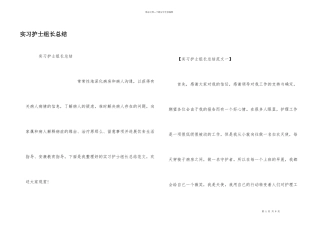 实习护士组长总结