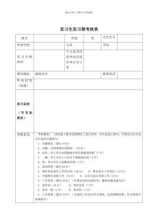 实习生实习期考核表