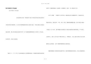 实习生转正工作总结