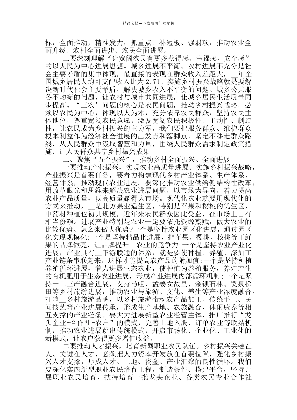 实施乡村振兴会议讲话稿范文_第2页