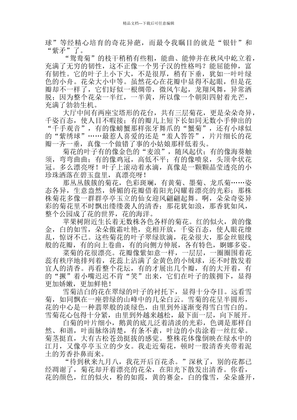 实用的描写片段的作文4篇_第2页