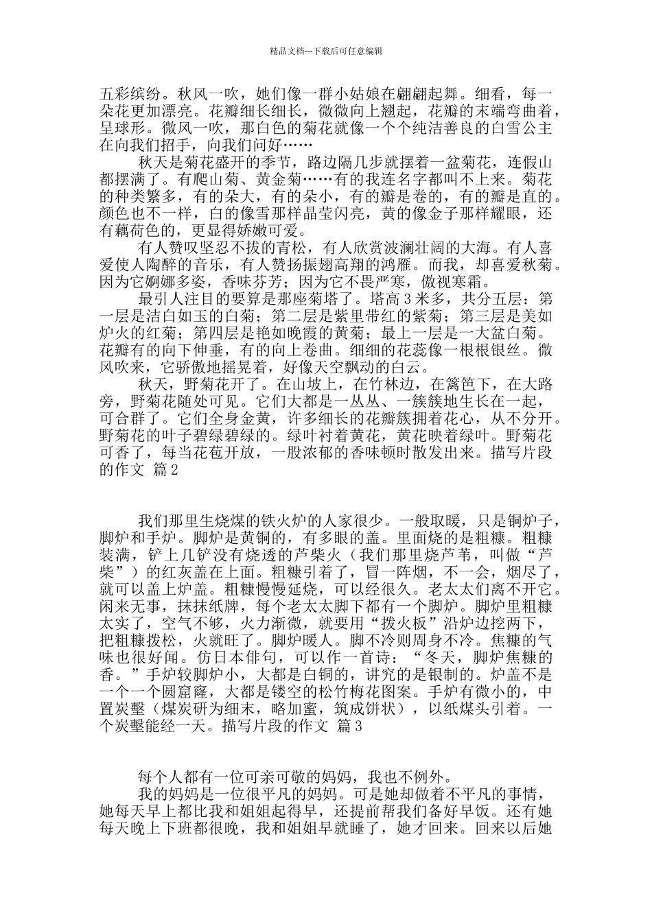 实用的描写片段的作文4篇_第3页