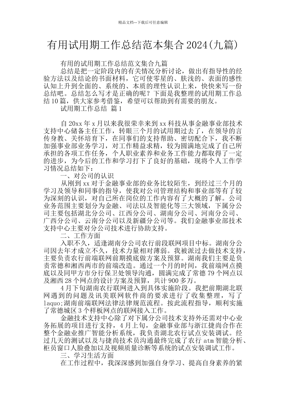 实用试用期工作总结范本集合2024_第1页