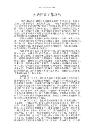 实践团队工作总结